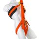 Rescue Strop